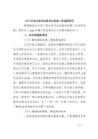 2023年党支部书记抓基层党建工作述职报告