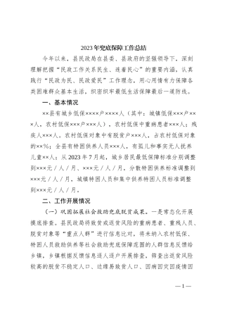 2023年兜底保障工作总结