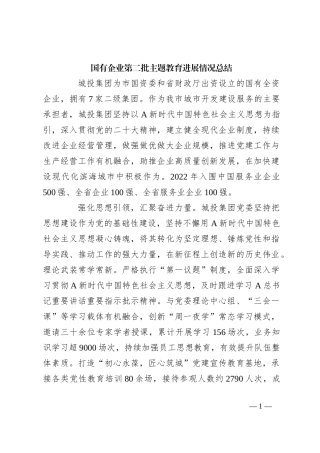 国有企业第二批主题教育进展情况总结