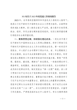 XX局关于2023年度党建工作情况报告