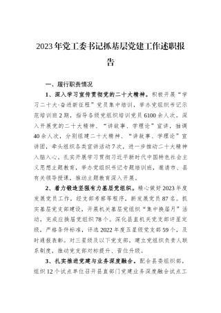 2023年党工委书记抓基层党建工作述职报告