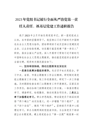 2023年党组书记履行全面从严治党第一责任人责任、抓基层党建工作述职报告