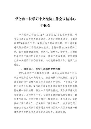 常务副市长学习中央经济工作会议精神心得体会