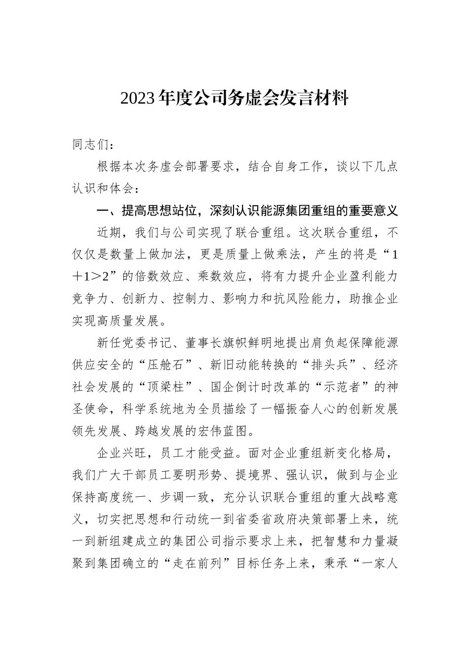 2023年度公司务虚会发言材料_第1页