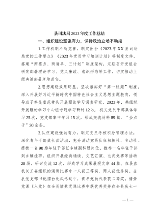 县司法局2023年度工作总结
