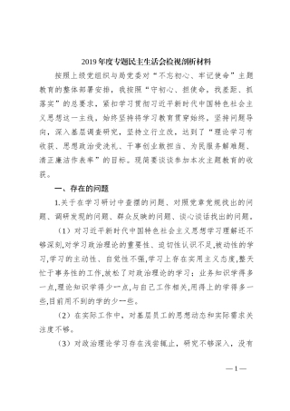 2019年度专题民主生活会检视剖析材料