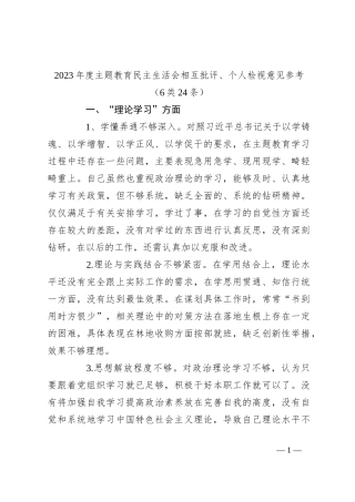 2023年度主题教育民主生活会相互批评、个人检视意见参考（6类24条）