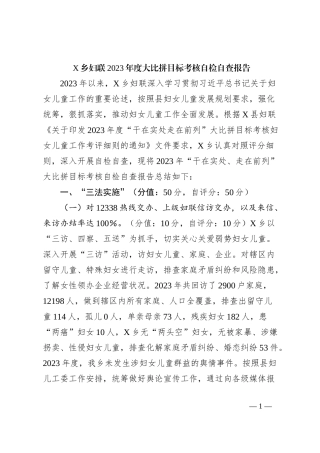 X乡妇联2023年度大比拼目标考核自检自查报告