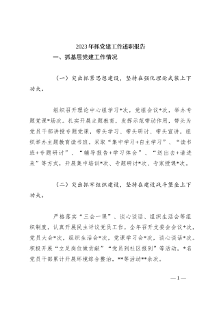 2023年抓党建工作述职报告