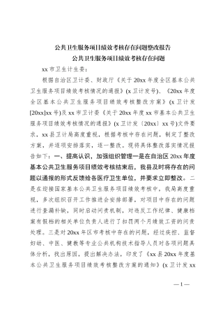公共卫生服务项目绩效考核存在问题整改报告