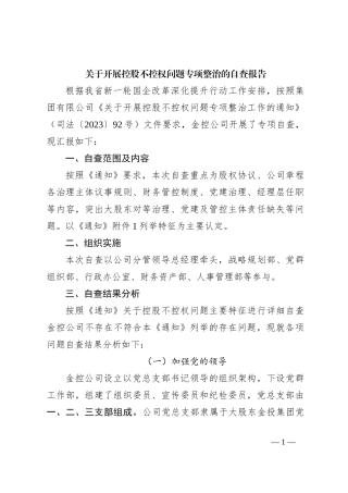 关于开展控股不控权问题专项整治的自查报告