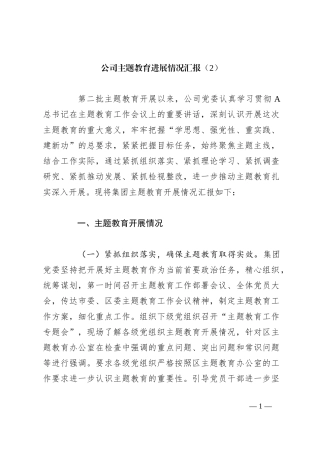 公司主题教育进展情况汇报（2）