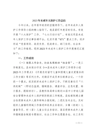 2023年未成年人保护工作总结