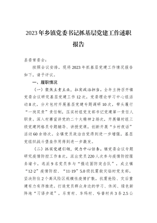 2023年乡镇党委书记抓基层党建工作述职报告