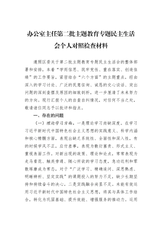 办公室主任第二批主题教育专题民主生活会个人对照检查材料