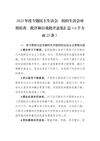 2023年度专题民主生活会、组织生活会对照检查、批评和自我批评意见汇总（6个方面25条）