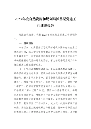 2023年度自然资源和规划局抓基层党建工作述职报告