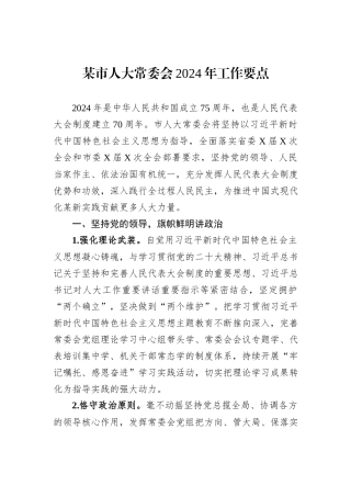 某市人大常委会2024年工作要点