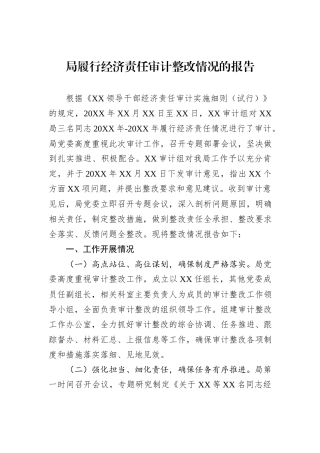 局履行经济责任审计整改情况的报告