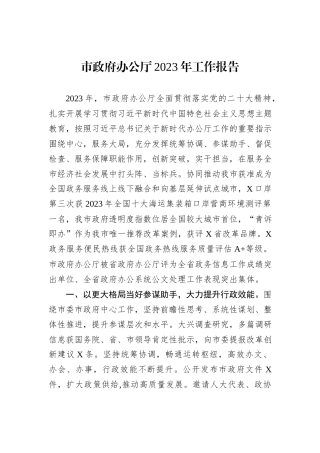 市政府办公厅2023年工作报告