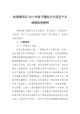 市委副书记2023年度主题教育民主生活会个人对照检查材料