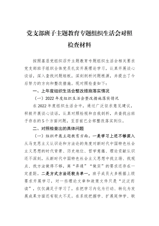 党支部班子主题教育专题组织生活会对照检查材料