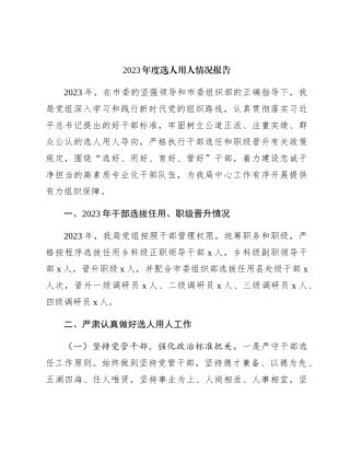 2023年度选人用人情况总结报告2800字