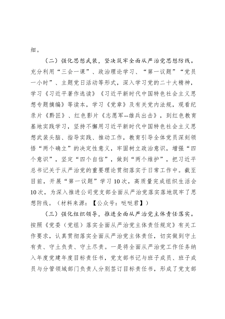 2023年国企党支部全面从严治党工作总结报告2600字_第2页