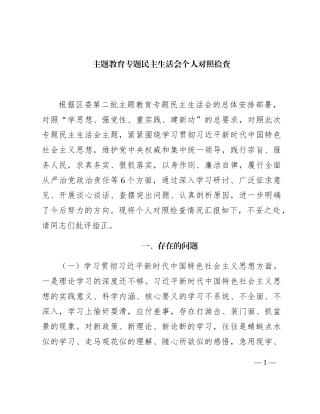2023年主题教育专题民主生活会个人对照检查  区委办主任（践行宗旨等6个方面+案例剖析+上年度整改+个人事项）