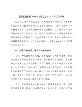 县供销合作社2023年工作总结