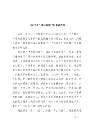 “沉浸式”开展好第二批主题教育