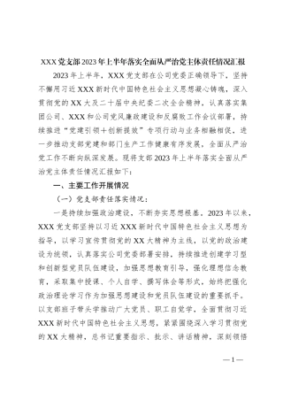 党支部2023年上半年落实全面从严治党主体责任情况汇报