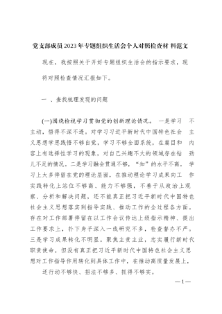 党支部成员2023年专题组织生活会个人对照检查材料范文