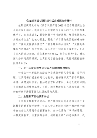 党支部书记专题组织生活会对照检查材料