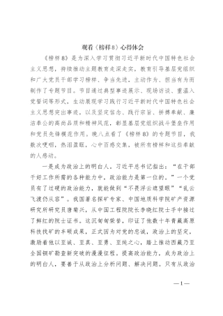 观看《榜样8》心得体会 (3)