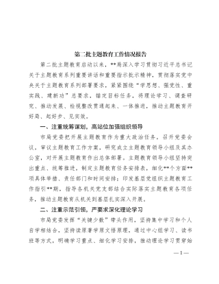 第二批主题教育工作情况报告