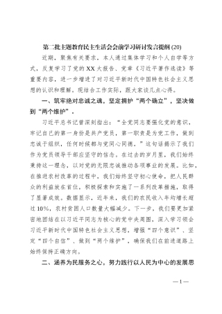 第二批主题教育民主生活会会前学习研讨发言提纲 (20)
