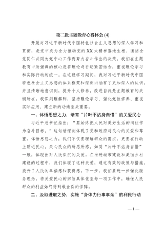 第二批主题教育心得体会 (4)【优】