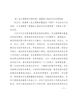 第二批主题教育专题党课：建强战斗堡垒 夯实发展根基