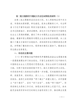 第二批主题教育专题民主生活会对照检查材料（5）