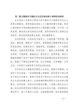 第二批主题教育专题民主生活会领导班子对照检查材料