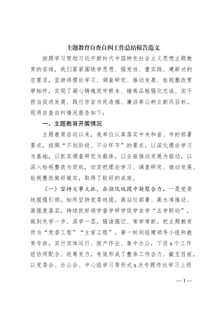 第二批主题教育自查自纠工作报告问题总结汇报20231018