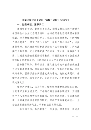 国企成员“画像”评价