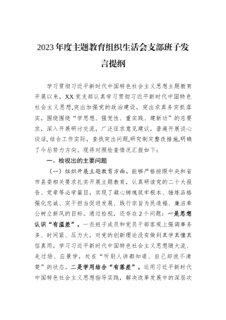 2023年度主题教育组织生活会支部班子发言提纲