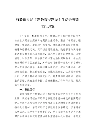 行政审批局主题教育专题民主生活会整改工作方案