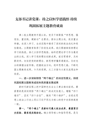 支部书记讲党课：持之以恒学思践悟+持续巩固拓展主题教育成效