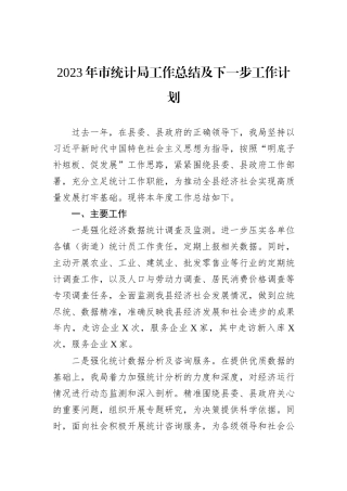 2023年市统计局工作总结及下一步工作计划