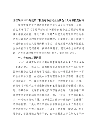 分管领导2023年度第二批主题教育民主生活会个人对照检查材料