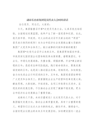 副市长出席集团党员代表大会时的讲话