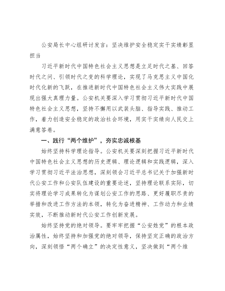 公安局长中心组研讨发言：坚决维护安全稳定 实干实绩彰显担当_第1页
